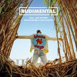rudimental-these-days-feat-jess-glynne-macklemore-dan-caplen-cdq.jpg