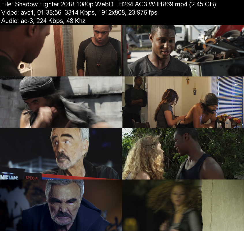 shadow-fighter-2017-1080p-webdl-h264-ac3