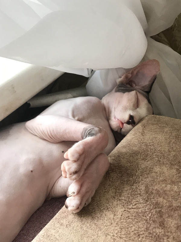 669-CA0-A7-E8-B1-40-C4-8-E26-DF78-D0-EE2