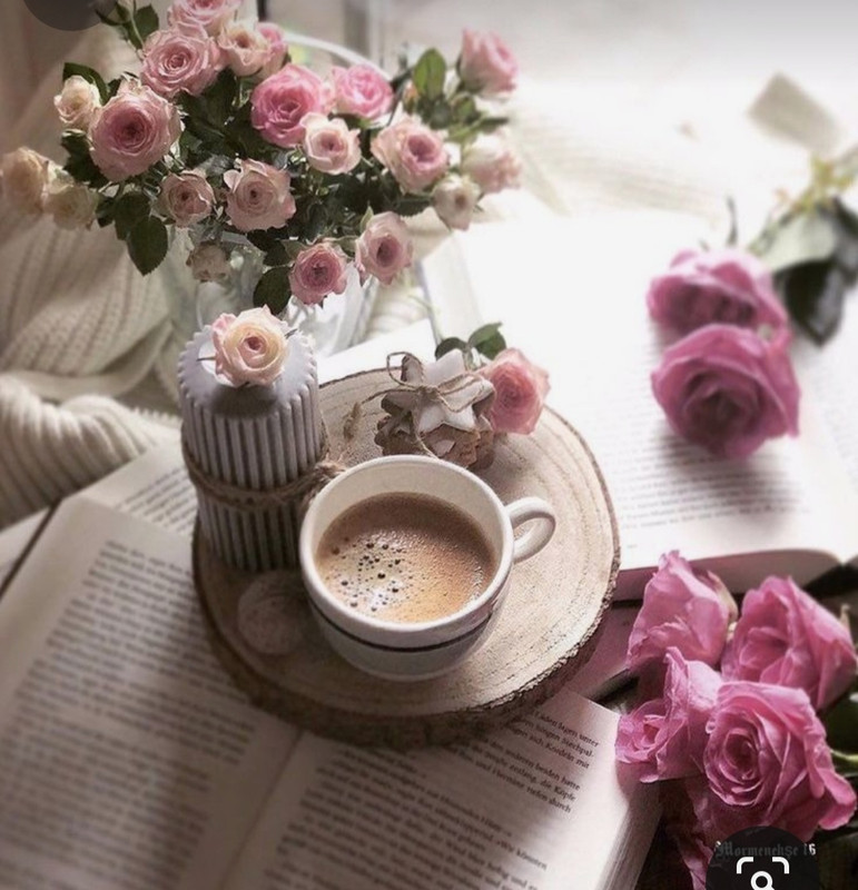 Screenshot_20230905_012421_Pinterest