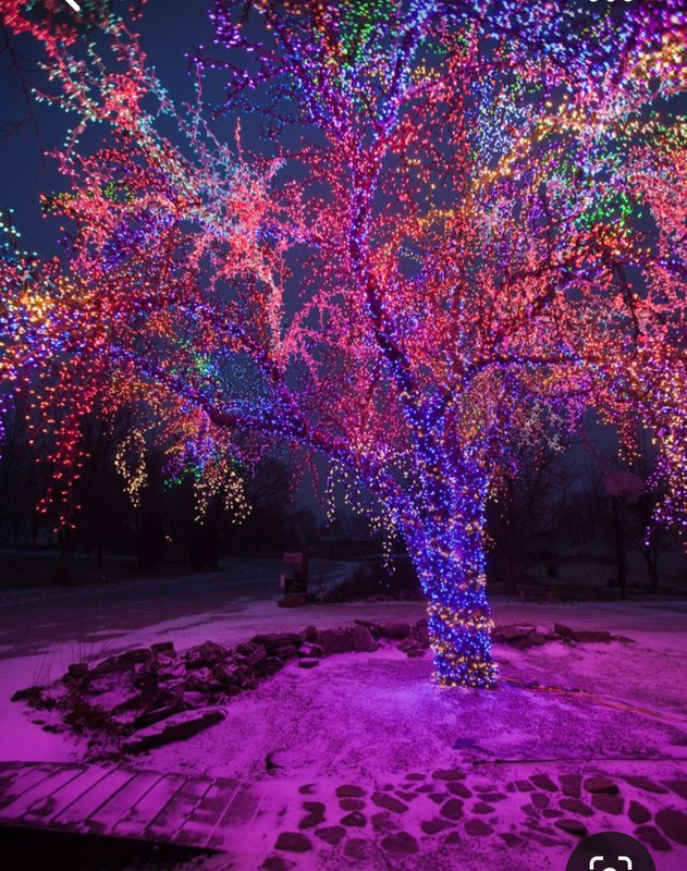 Screenshot_20230313_211114_Pinterest