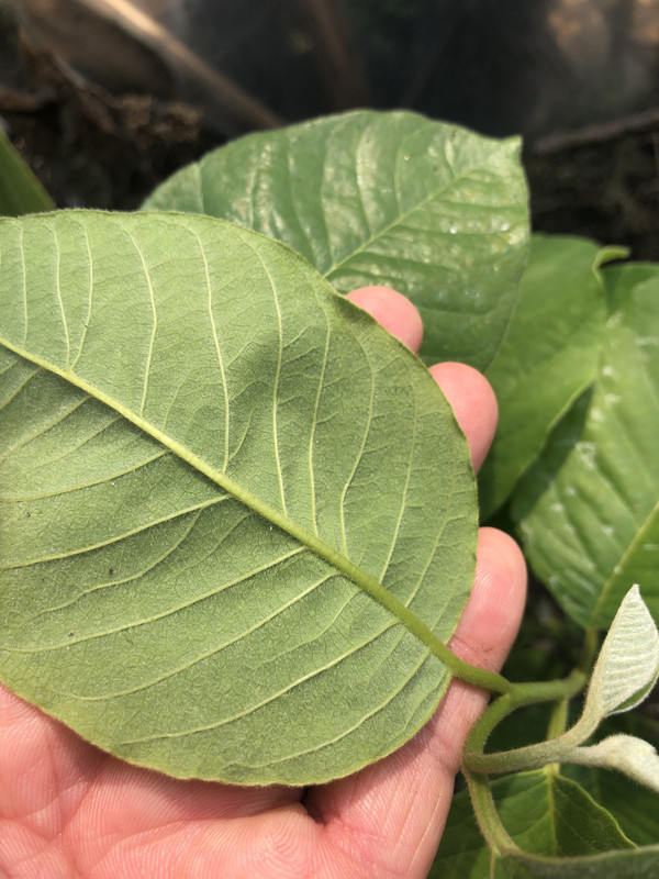 CD2C2C9D-39D3-4F26-8DAD-8AB07C633A1D