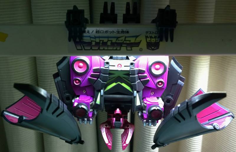 10698641_707866895966389_2813822899585260265_n