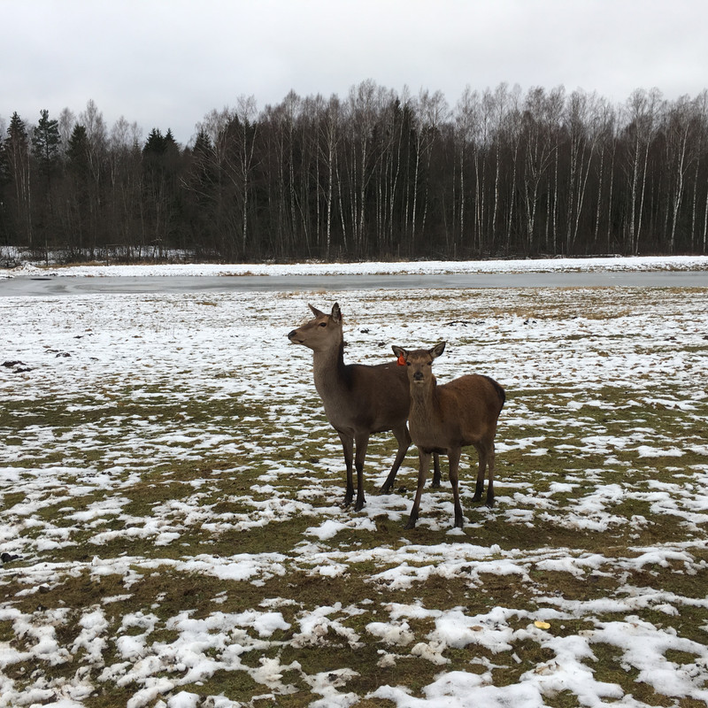 9EF951C3-644F-4744-BDAF-23D40FCE55AF