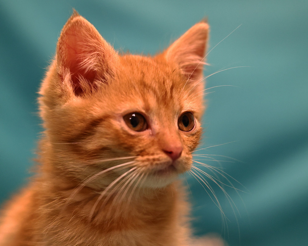 7DEB3DBA-DD6C-4F61-9AE4-A59EF468306A