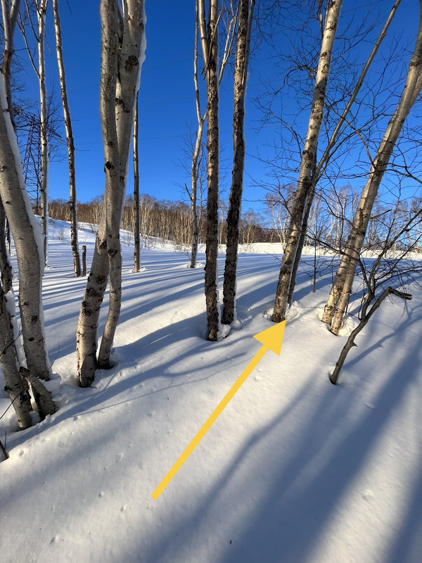 0DAE963D 4B6E 4529 B9E8 647C95096353