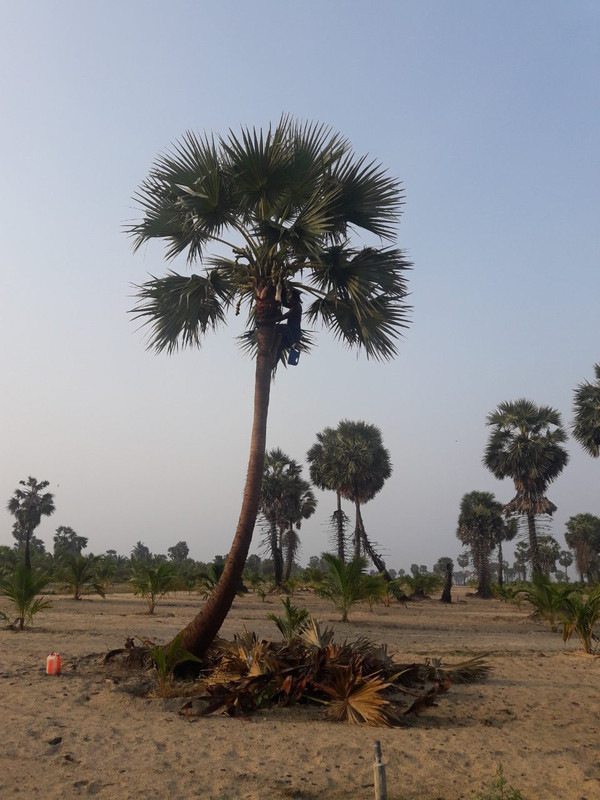 IMG-6d5bfc3e734a1dc10049148f749eb972-V-1