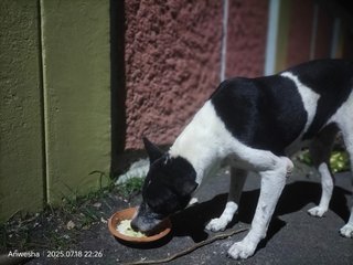 Daily Feeding Round