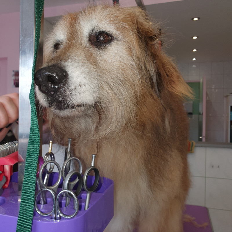 [Image: 20211006-133550.jpg]