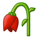 https://i.postimg.cc/5yDQtGnQ/post-727131-6a01df4e1732e.png