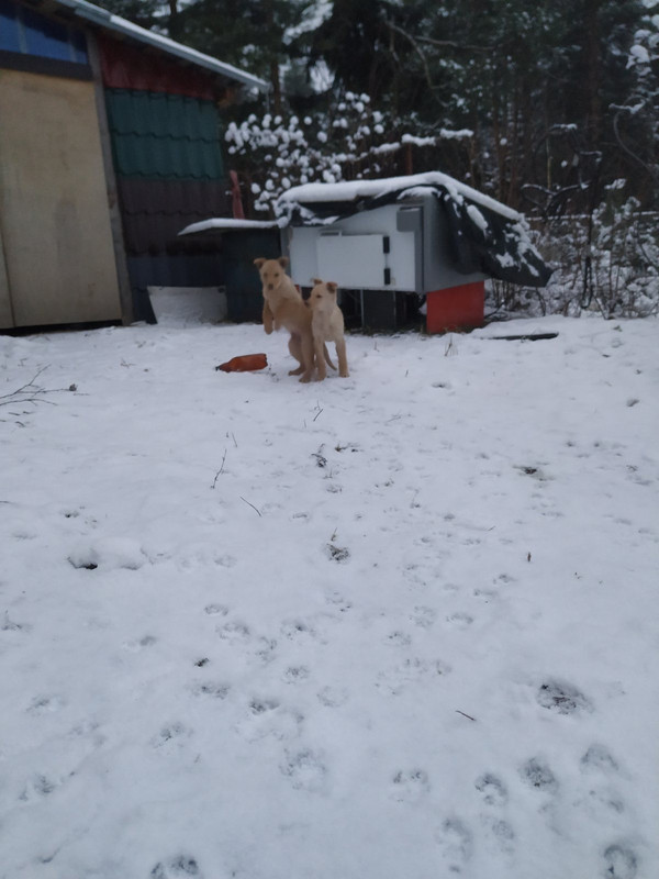 2DAEE5A7-3DEB-44CF-A4A6-48A6D56AE8E7