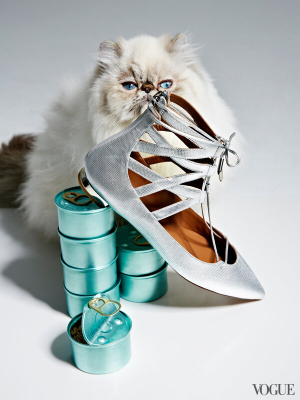 cats-kittens-flats-shoes-18-16190233655