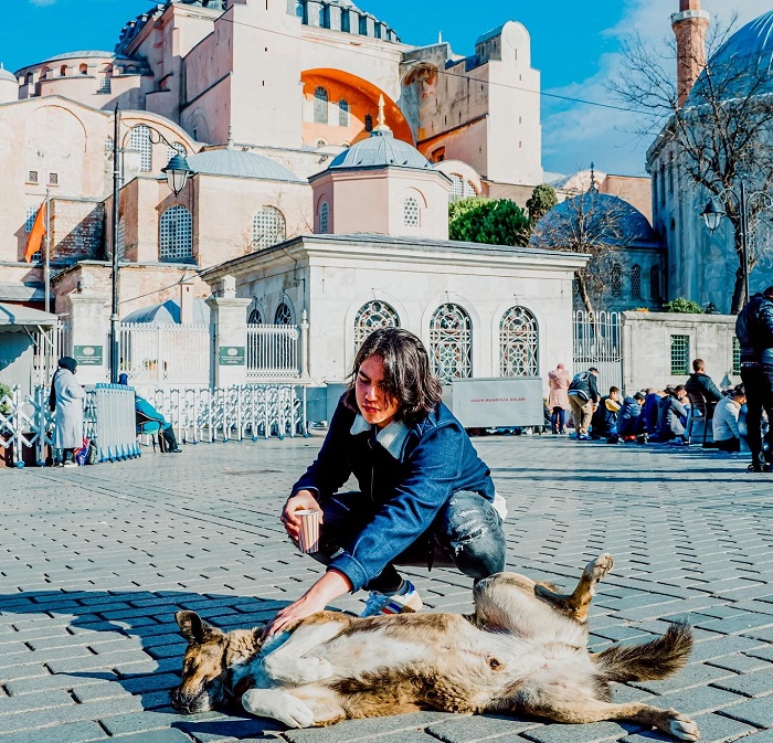 Potret El Rumi saat bermain dengan seekor anjing di halaman Hagia Sophia, Turki.