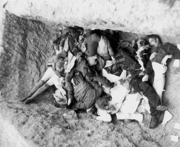 15136188840728487203