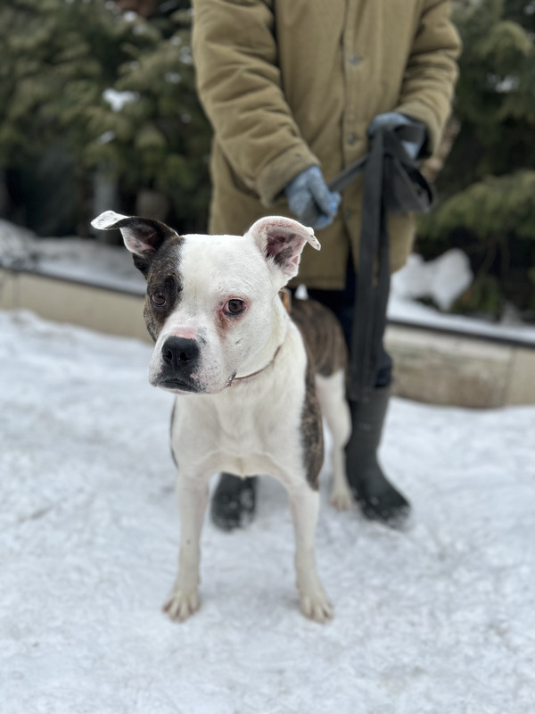 77D7710F-E7BE-4771-90D2-3DDBF5341CF4