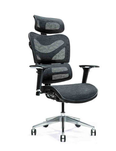Ergo600