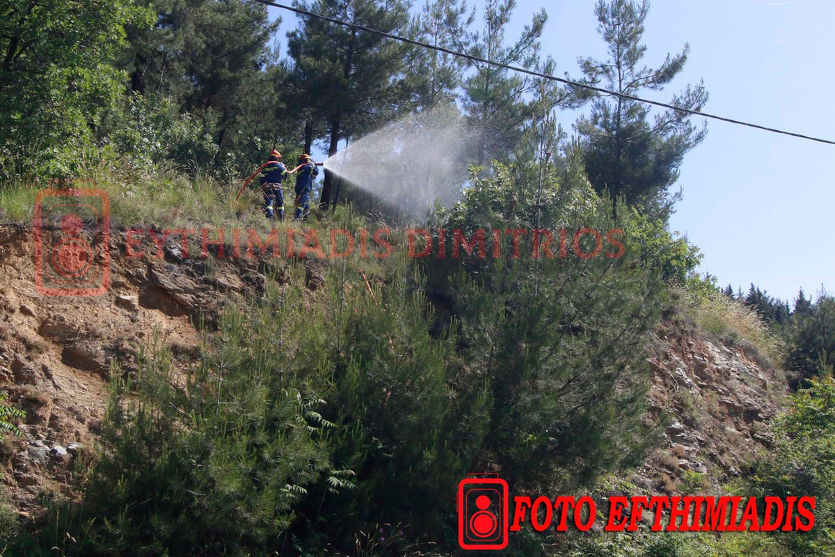 499703161-1453516358961854-8742692276122580427-n