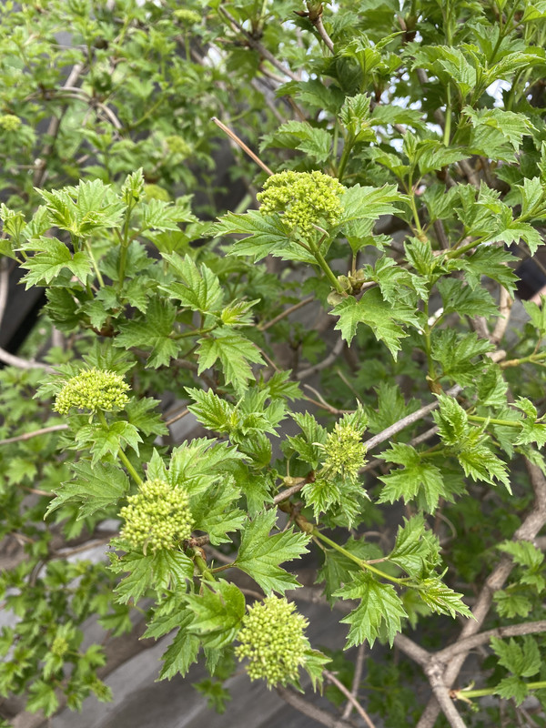 9CD698E0-894E-4A48-B9C4-E4099EE76CEE