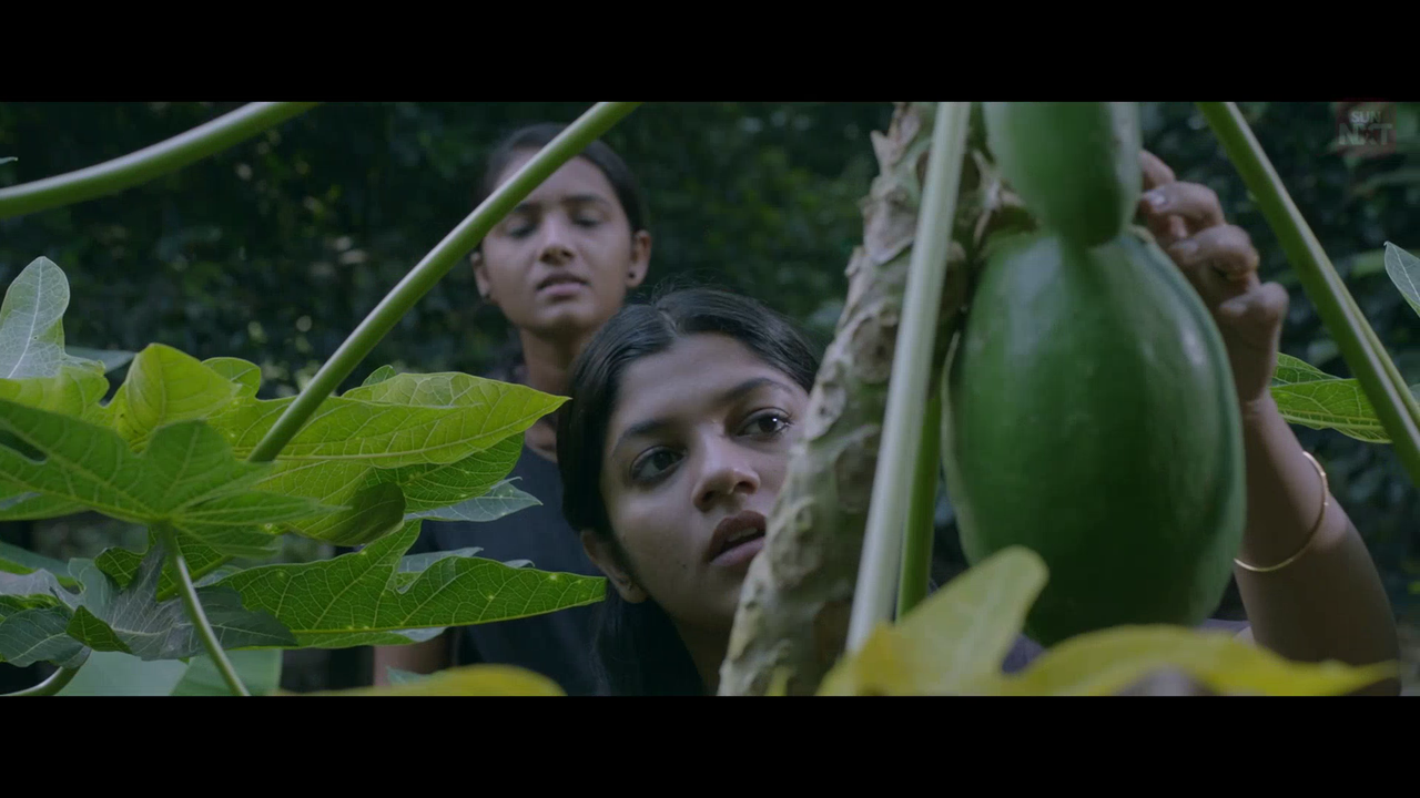 vlcsnap 2026 02 11 15h43m28s791