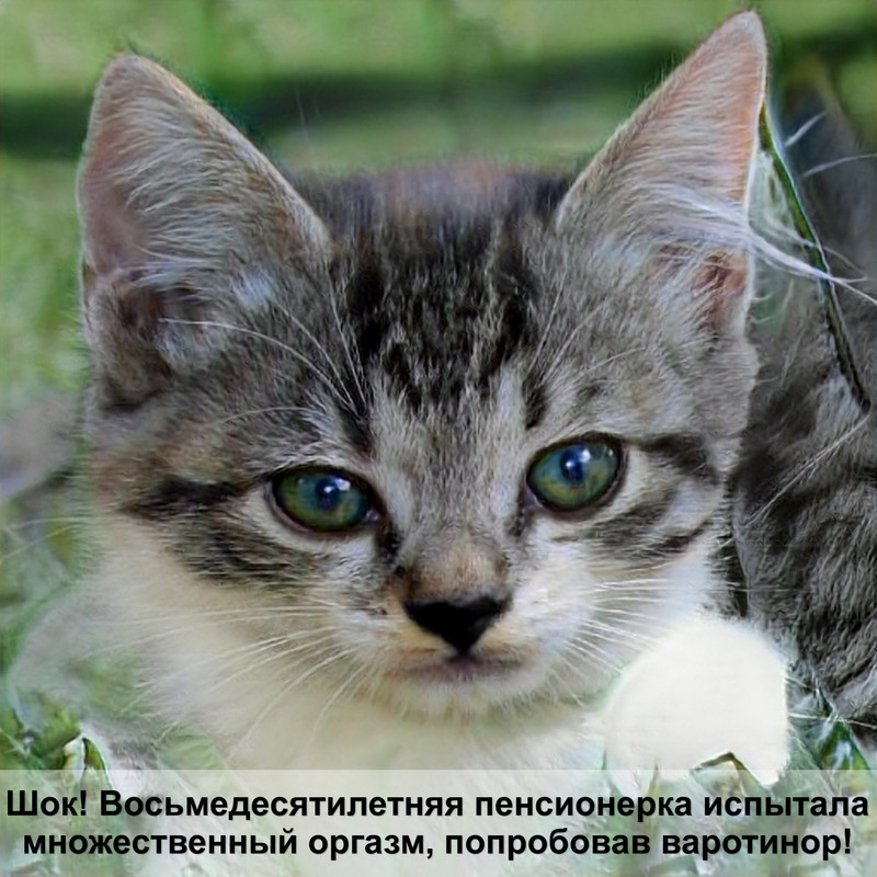 корм для кошек с почечной недостаточностью