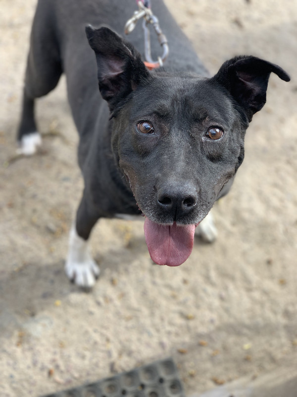 F19C7884-B3EC-403F-B42D-F48465A68DA7