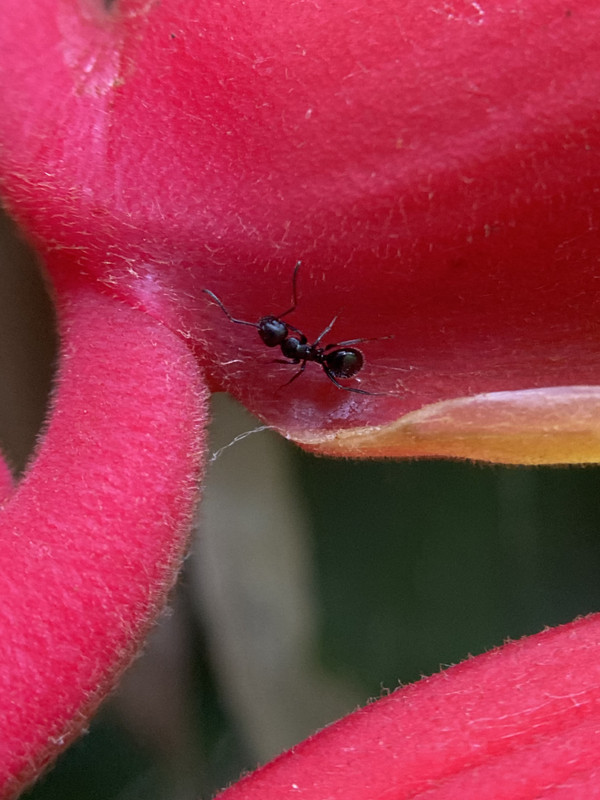 947865DF-D5FB-4C61-901E-04F153EAE6D8