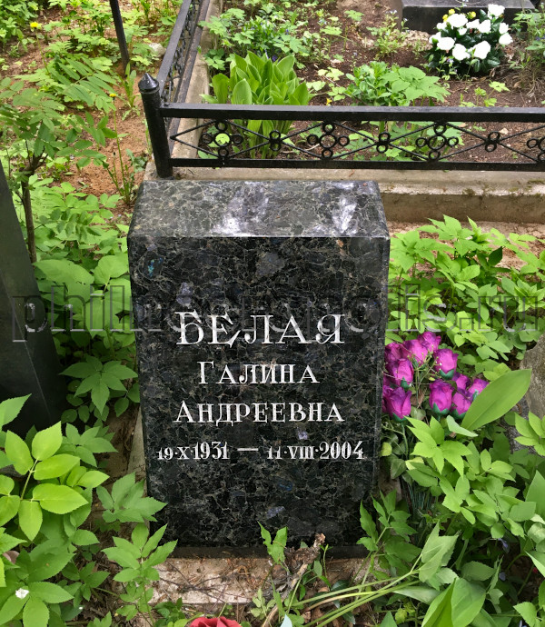 belaya