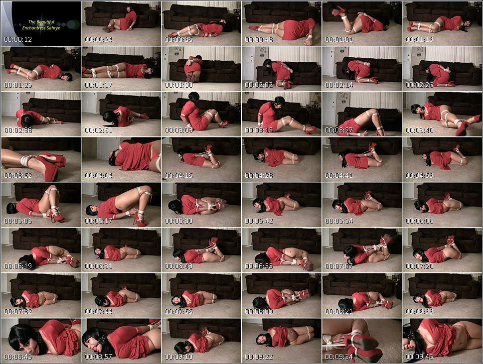 bound_and_gagged_video_1249.wmv