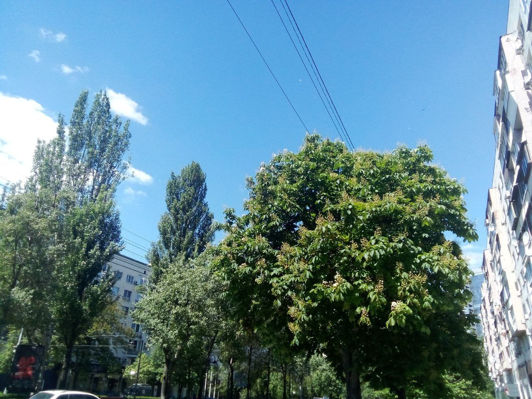 photo_2025-05-31 5.25.07 пп