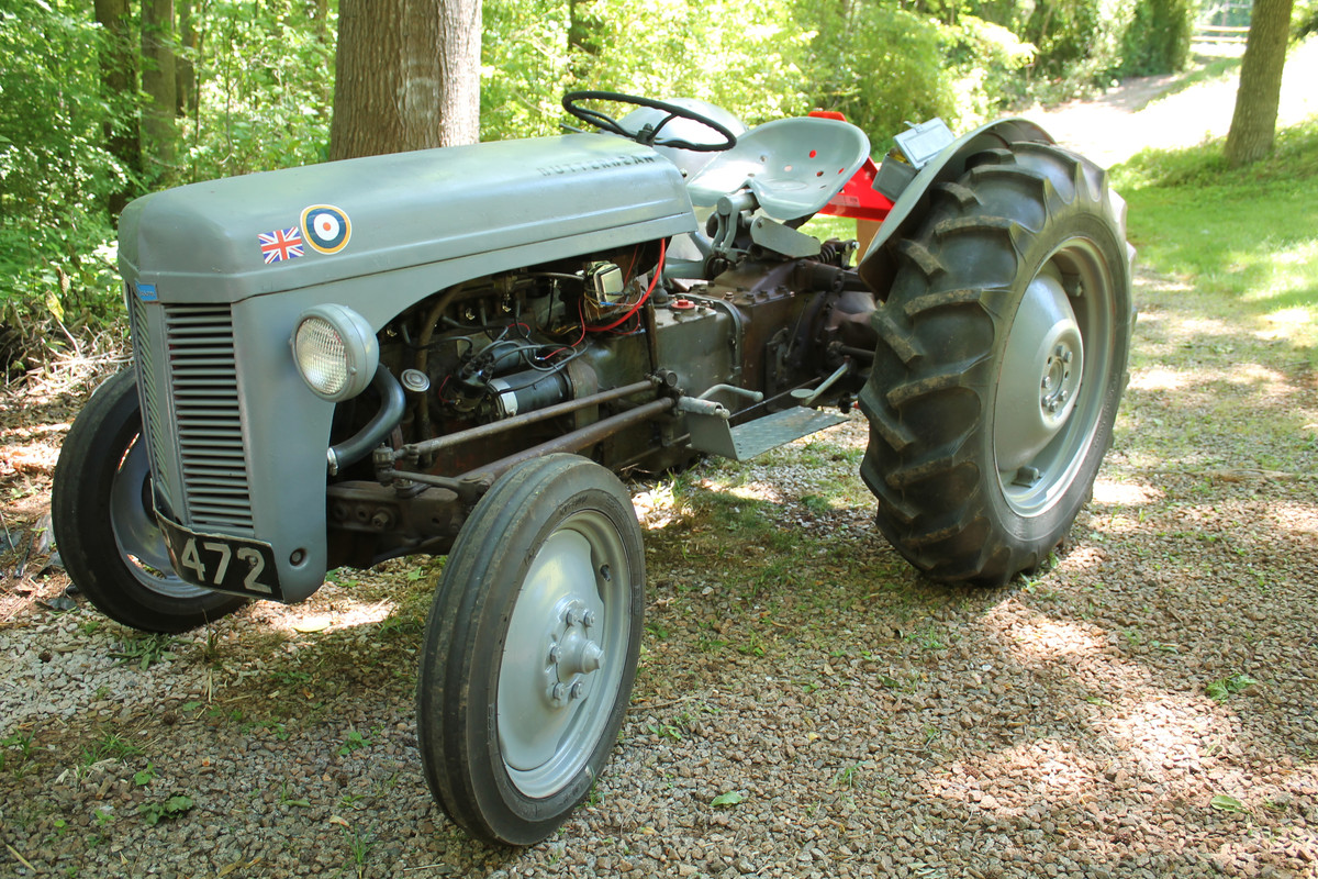 IMG_3258