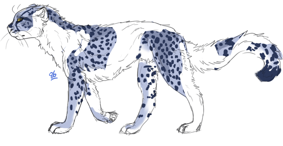 Pied-Cheetah-Jan-2020.png
