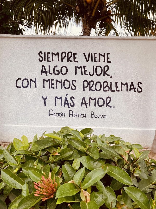 SIEMPRE VIENE ALGO MEJOR ... _________________ 349000524-213973101488409-7553074188018725739-n