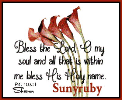 Sunyruby-Bless-The-Lord-Oh-My-Soul-Tulips