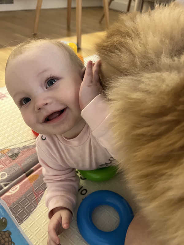 898F0B91-2AFF-4418-8F42-C83EF456721A