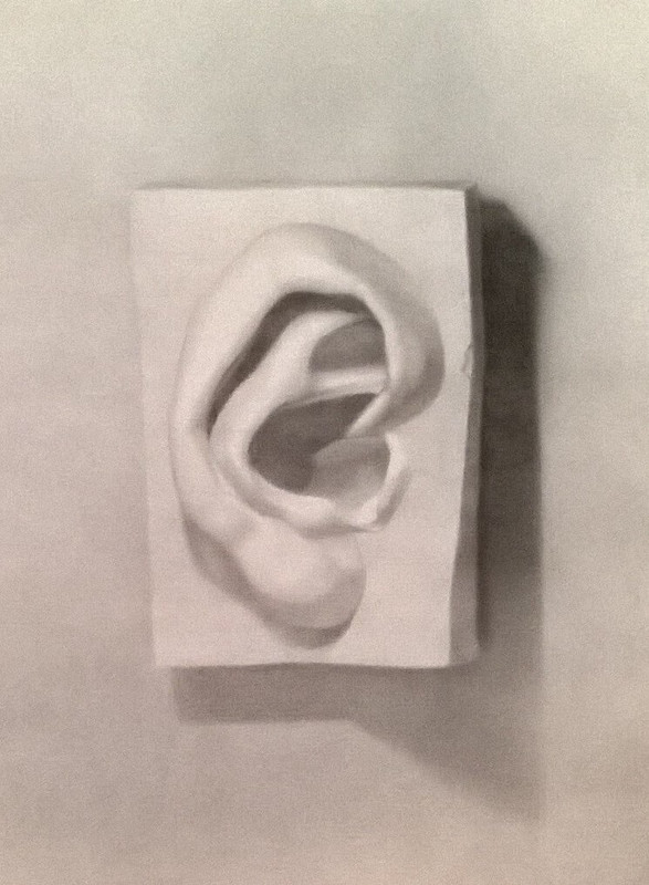 Cast Drawing of David's Ear