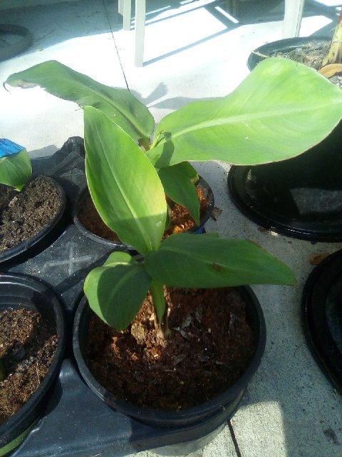 IMG_20200213_152003 (1)