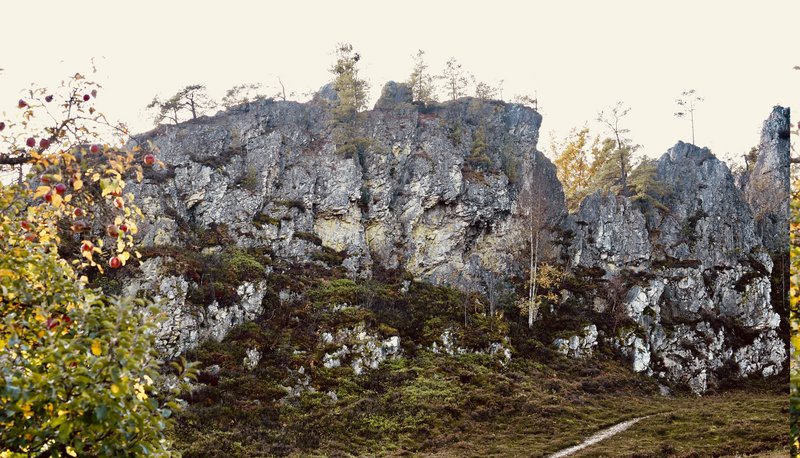 PA290814.jpg