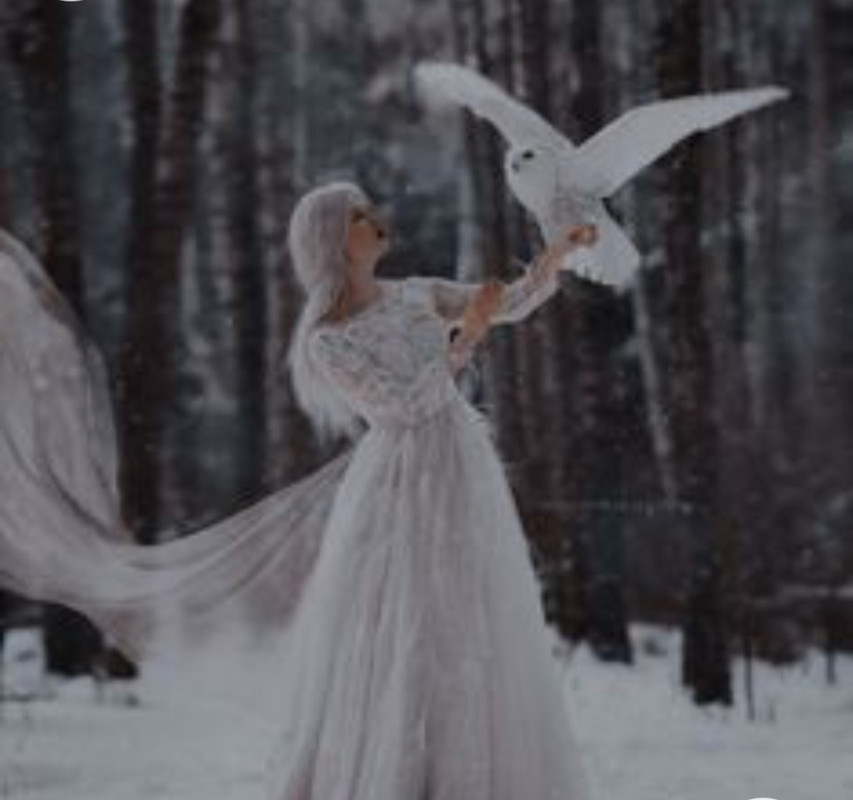 Screenshot_20221211-010605_Chrome