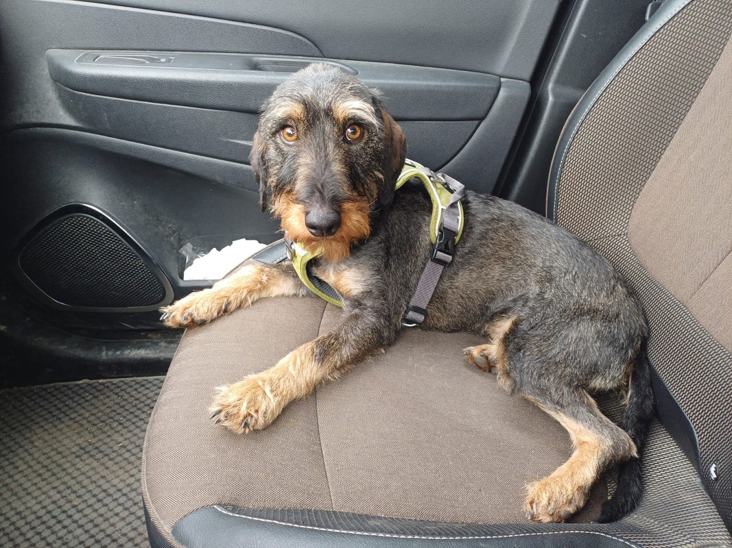 [Image: IMG-20240209-WA0005.jpg]