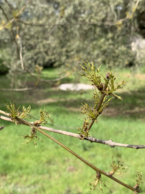 6EC721F8-C947-4A1B-A7C9-A9BE688A47CF