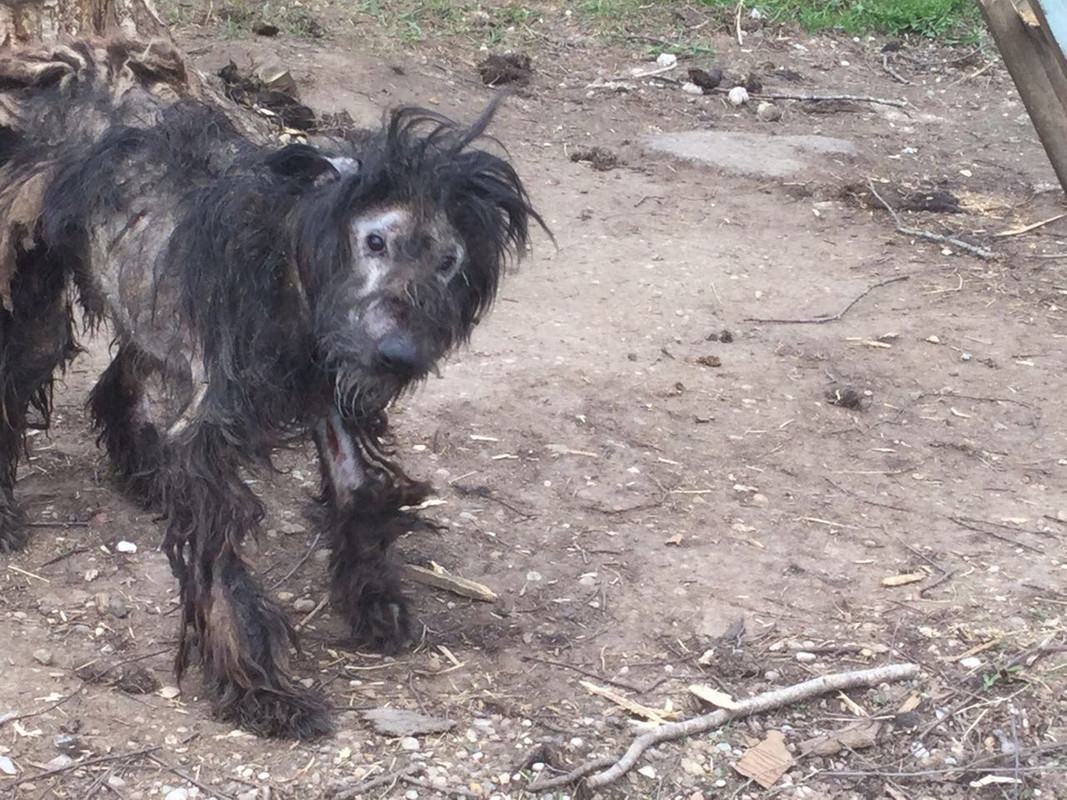 597355B6-5C37-4498-AAA1-218C63150755