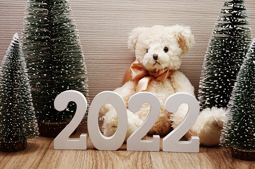 [Image: istockphoto-1220693447-170667a.jpg]