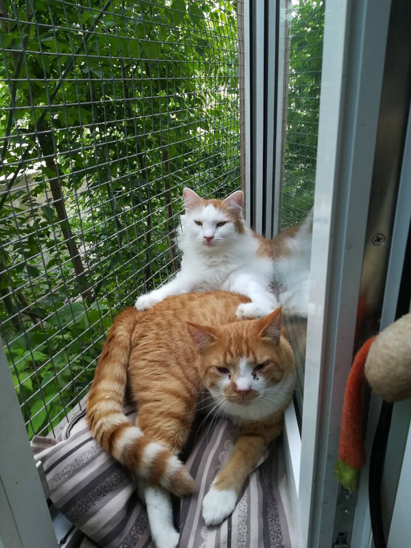 FCE9EBC9-8843-48CC-A60F-6109CE12EE75