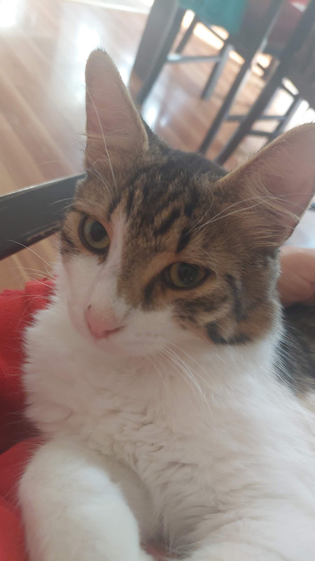 IMG-778a72349a6ef07776d6f29a22760604-V