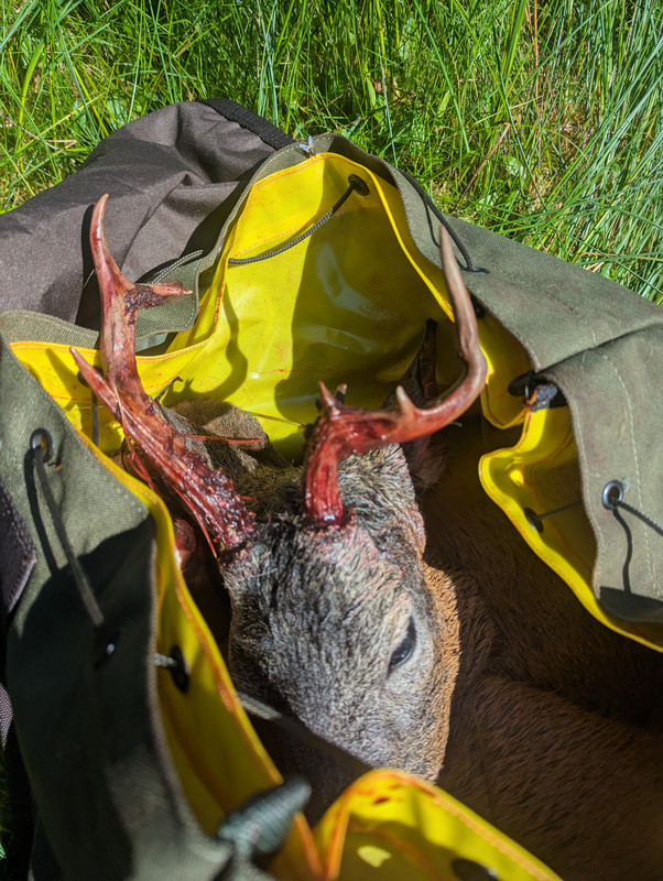 PXL_20250707_091258223