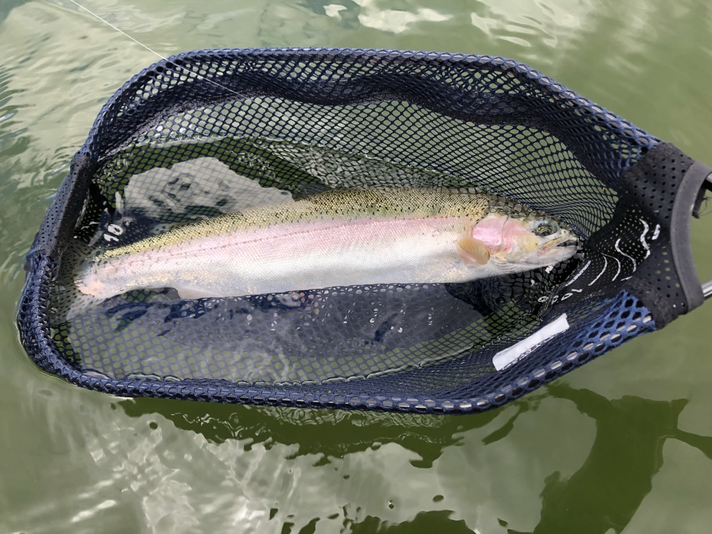 8D7DC192-000B-49C9-8021-9412FAE75729_1_105_c