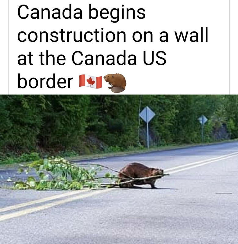 476440255_4074503832769689_7641170199345505430_n (1)