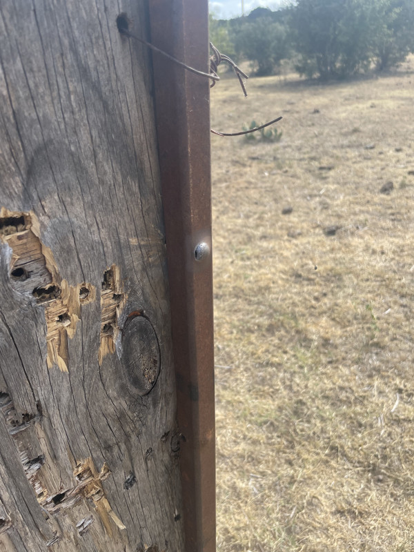 DD931936-8717-4D51-9232-F28311A2EB6E