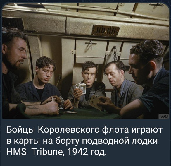 photo 2026 05 26 15 59 50