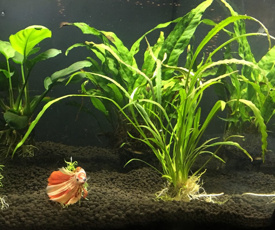 FA983E4C-AA5E-49B3-86FA-32BD637E2F7D